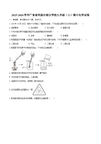 2025-2026学年广东省河源市部分学校九年级（上）期中化学试卷-自定义类型
