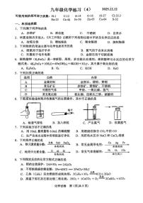 江苏省镇江市外国语学校2025-2026学年九年级上学期化学练习（4）（月考）