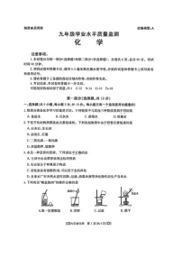 陕西省西安理工大学附属中学2024-2025学年九年级上学期期末考试化学试卷