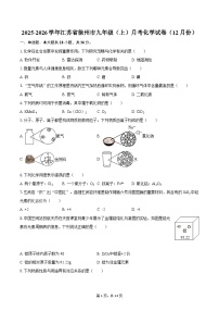 2025-2026学年江苏省徐州市九年级（上）月考化学试卷（12月份）-自定义类型