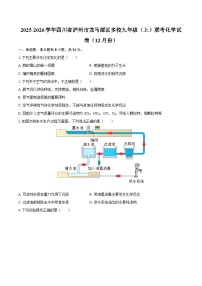 2025-2026学年四川省泸州市龙马潭区多校九年级（上）联考化学试卷（12月份）-自定义类型