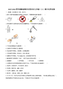 2025-2026学年湖南省郴州市资兴市九年级（上）期中化学试卷-自定义类型