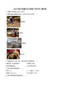 2025年四川省雅安市石棉县中考化学二模试卷-自定义类型
