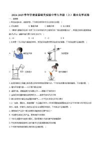 2024-2025学年甘肃省嘉峪关实验中学九年级（上）期末化学试卷（含答案）