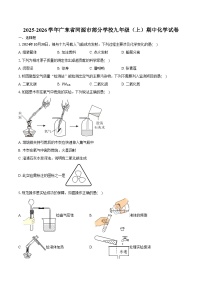 2025-2026学年广东省河源市部分学校九年级（上）期中化学试卷（含答案）