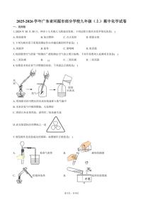 2025-2026学年广东省河源市部分学校九年级（上）期中化学试卷（含答案）