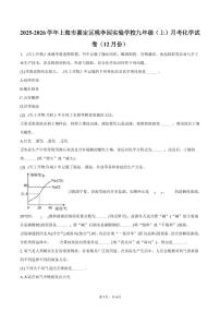 2025-2026学年上海市嘉定区桃李园实验学校九年级（上）月考化学试卷（12月份）（含答案）