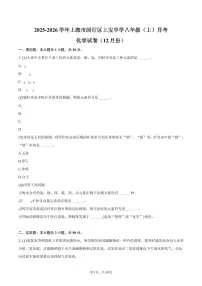 2025-2026学年上海市闵行区上宝中学八年级（上）月考化学试卷（12月份）（含答案）