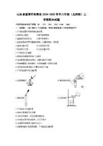 山东省淄博市高青县2024-2025学年八年级（五四制）上学期期末化学试卷（学生版）