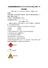 云南省楚雄彝族自治州2024-2025学年九年级上学期1月期末化学试卷（学生版）