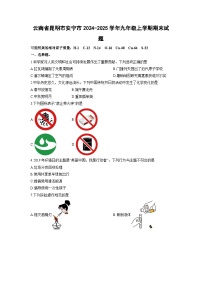 云南省昆明市安宁市2024-2025学年九年级上学期期末化学试卷（学生版）