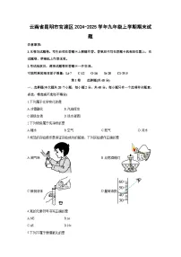 云南省昆明市官渡区2024-2025学年九年级上学期期末化学试卷（学生版）