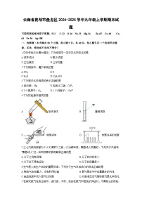 云南省昆明市盘龙区2024-2025学年九年级上学期期末化学试卷（学生版）
