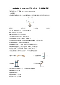 云南省曲靖市2024-2025学年九年级上学期期末化学试卷（学生版）
