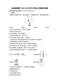 云南省曲靖市2024-2025学年九年级上学期期末化学试卷（学生版）