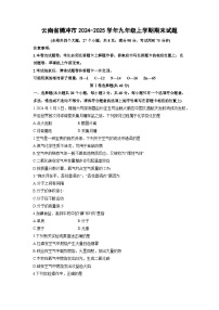 云南省腾冲市2024-2025学年九年级上学期期末化学试卷（学生版）