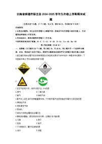 云南省昭通市绥江县2024-2025学年九年级上学期期末化学试卷（学生版）
