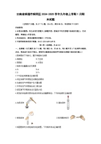 云南省昭通市昭阳区2024-2025学年九年级上学期1月期末化学试卷（学生版）
