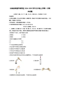 云南省昭通市昭阳区2024-2025学年九年级上学期1月期末化学试卷（学生版）