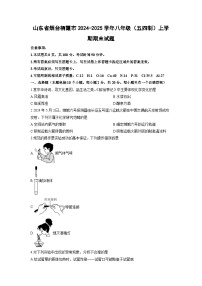 山东省烟台栖霞市2024-2025学年八年级（五四制）上学期期末化学试卷（学生版）