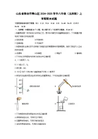 山东省烟台市莱山区2024-2025学年八年级（五四制）上学期期末化学试卷（学生版）