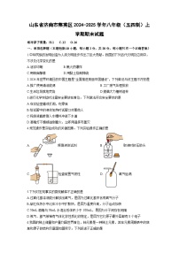 山东省济南市莱芜区2024-2025学年八年级（五四制）上学期期末化学试卷（学生版）