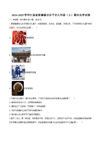 2024-2025学年江西省景德镇市乐平市九年级（上）期末化学试卷-自定义类型