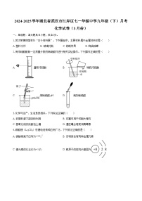 2024-2025学年湖北省武汉市江岸区七一华源中学九年级（下）月考化学试卷（3月份）-自定义类型