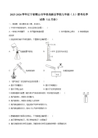 2025-2026学年辽宁省鞍山市华育高新区学校九年级（上）联考化学试卷（12月份）-自定义类型