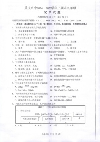 重庆市第八中学2024-2025学年九年级上学期期末考试化学试题