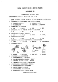 重庆市渝中区2024-2025学年九年级上学期1月期末考试化学试题
