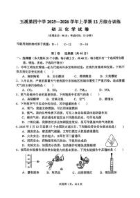 云南省玉溪市红塔区玉溪第四中学2025-2026学年九年级上学期12月月考化学试题