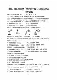 山东省德州市第九中学2025-2026学年九年级上学期第二次月考化学试题