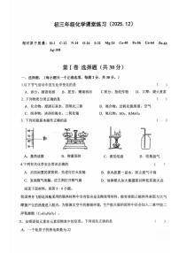 江苏省盐城市亭湖区康居路集团校2025-2026学年九年级上学期12月联考化学试题