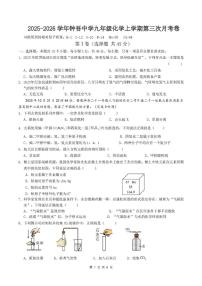 江苏省徐州市新沂市钟吾中学2025-2026学年九年级上学期第三次月考化学试卷