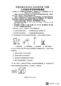 2025年济南市章丘区初三化学上学期12月份月考试题及其答案