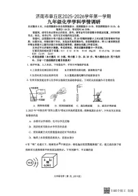 2025年济南市章丘区初三化学上学期12月份月考试题及其答案
