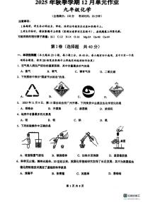 广西壮族自治区南宁市青秀区南宁市天桃实验学校2025-2026学年九年级上学期12月月考化学试卷