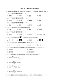 2025年上海市中考化学试卷附解析答案