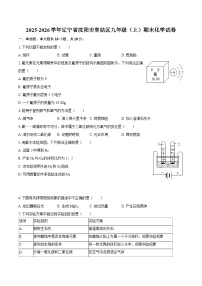 2025-2026学年辽宁省沈阳市皇姑区九年级（上）期末化学试卷-自定义类型