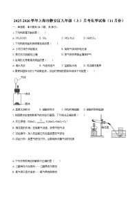 2025-2026学年上海市静安区九年级（上）月考化学试卷（11月份）-自定义类型