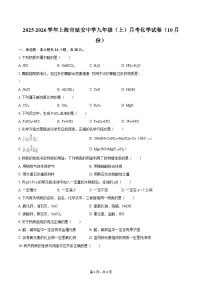2025-2026学年上海市延安中学九年级（上）月考化学试卷（10月份）-自定义类型