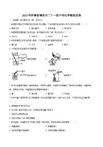 2025年河南省南阳市二十一校中考化学模拟试卷-自定义类型