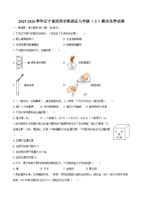 2025-2026学年辽宁省沈阳市铁西区九年级（上）期末化学试卷-自定义类型