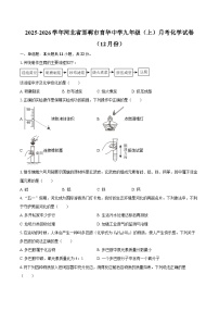2025-2026学年河北省邯郸市育华中学九年级（上）月考化学试卷（12月份）-自定义类型