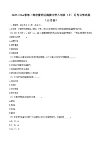 2025-2026学年上海市普陀区梅陇中学八年级（上）月考化学试卷（12月份）-自定义类型
