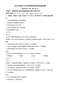 福建省泉州市丰泽区九年级上学期期末化学试题（解析版）-A4