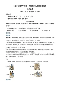 福建省龙岩市九年级上学期期末化学试题（解析版）-A4