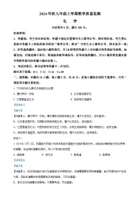福建省泉州市洛江区九年级上学期期末化学试题（解析版）-A4