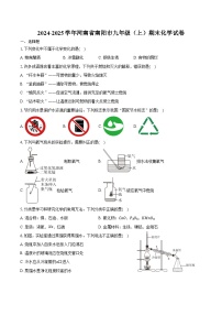 2024-2025学年河南省南阳市九年级（上）期末化学试卷（含答案）